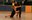 Ball al vestíbul del pavelló Joan Creus