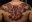 Cicle Més Salut: Taller informatiu sobre els riscos sanitaris del tatuatge i el pírcing