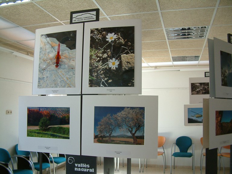 ripollet-medi-ambient-casa-natura-exposicio-presentacio-230307 (11).JPG