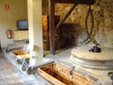 Visita-taller al Molí d’en Rata
