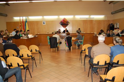Sessió ordinària del Ple Municipal del mes de maig de 2009.