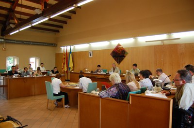 Acords del Ple Municipal del 28 de maig de 2009.