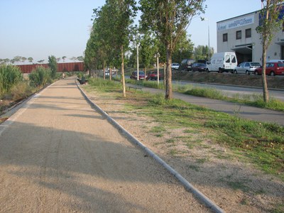 Acords de la Junta de Govern Local del 28 d'octubre de 2009.