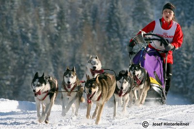 El CEIP El Martinet inaugura la primera exposició del curs.