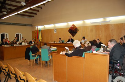 Acords del Ple Municipal del 28 de gener de 2010.