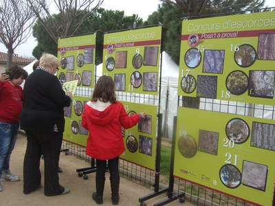 Estrenat el Concurs d'escorces.