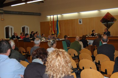 Acords del Ple Municipal del 28 d'octubre de 2010.