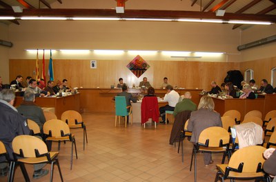 Acords del Ple Municipal del 25 de novembre de 2010.