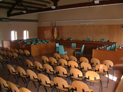 Prèvia del Ple Municipal del 21 de juliol de 2011 .