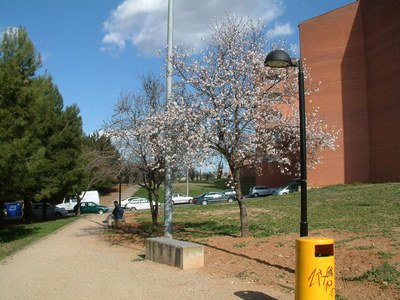 Primers resultats dels projectes d'estalvi energètic.