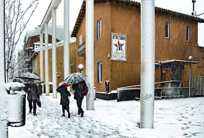 Es declara la prealerta per fred.