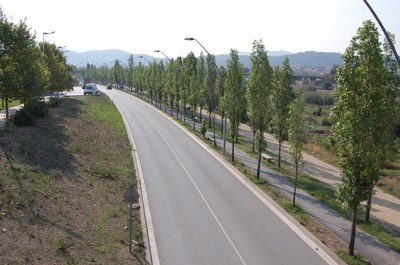 Aprovat el projecte per adequar un camí verd d'ús mixt.