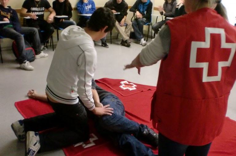 ripollet-soc-creu-roja-formacio-2012-2013.pdf