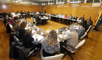 El Ple del Consell Comarcal aprova la revisió de les ordenances fiscals per l'any 2013 .