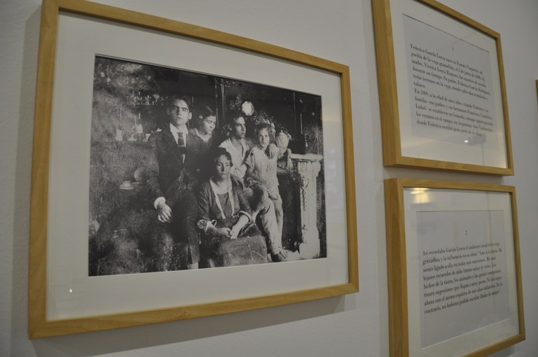 Textos de l'exposició