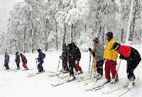 El Casal de Joves organitza esquiades.