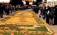 Els carrers del nucli antic es cobriran de catifes florals per celebrar el Corpus.