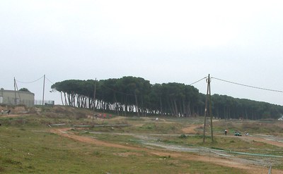 L'Ajuntament està elaborant un protocol per al manteniment sostenible de parcs i jardins.