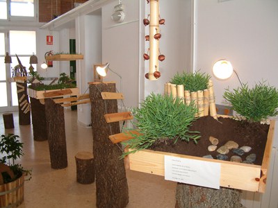 educacio-medi-ambient-cabanes-expo-martinet-inauguracio-061007%20(2).JPG
