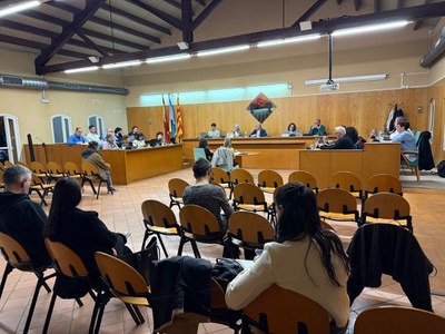 Fotografia del Ple Municipal de març de 2026.