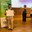 El Centre de Formació d'Adults Jaume Tuset celebra la graduació de l'alumnat de secundària