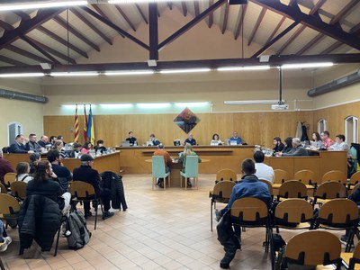 El Ple Municipal aprova la millora dels carrers de Balmes, Maragall i Puigmal.