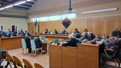 El Ple Municipal aprova per unanimitat el Pla d'Accessibilitat de Ripollet.