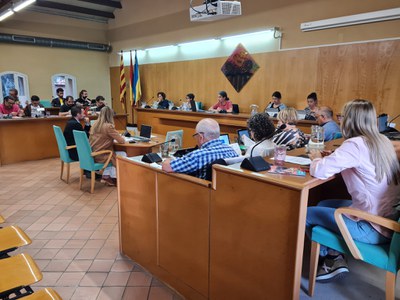 El Ple Municipal aprova per unanimitat una moció que reclama a Endesa l'actualització de les seves instal·lacions.