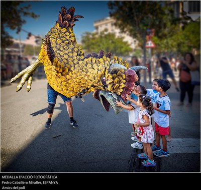 Fotografia corresponent a la Medalla d'Acció Fotogràfica a Pedro Caballero per la fotografia "Amics del poll".