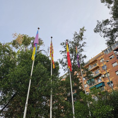 La bandera LGTBI onejant a l'Ajuntament.