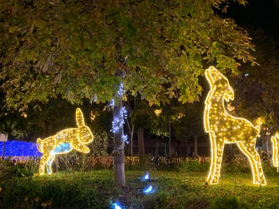Escena del Bosc Màgic, recreant un prat, al parc de la Solidaritat.jpeg