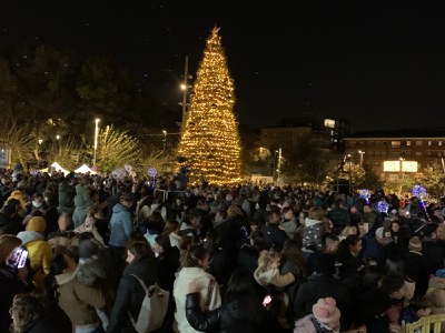 L'arbre natural de la plaça Joan Abad, acabat d'il·luminar.jpeg
