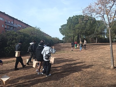 Ripollet utilitza ocells per actuar contra plagues com la de la processionària.